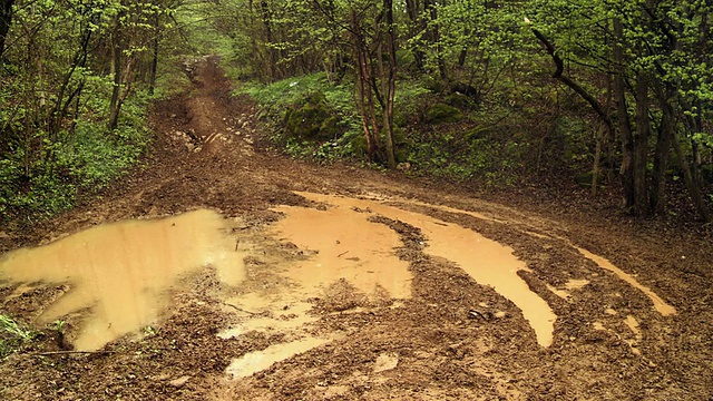 高清起重机:MX骑手在泥泞小道上飞溅视频素材