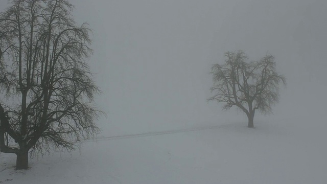 空中W/S，冬季有雪的大气景观视频素材