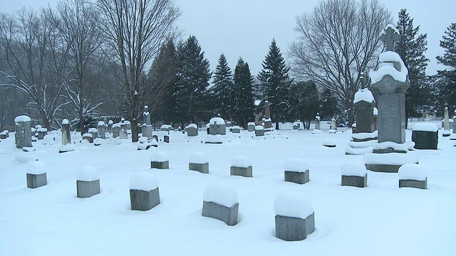 冬季暴风雪中的MS白雪墓地/ Ellicottville，纽约，加拿大视频素材