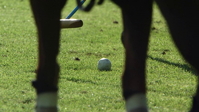 MS SLO MO Polo ball playing with stick /曼彻斯特，英国视频素材