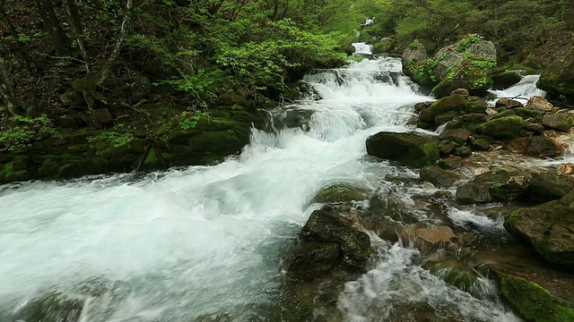 韩国江原道三cheok的deokhang山谷中水流的MS Shot视频素材