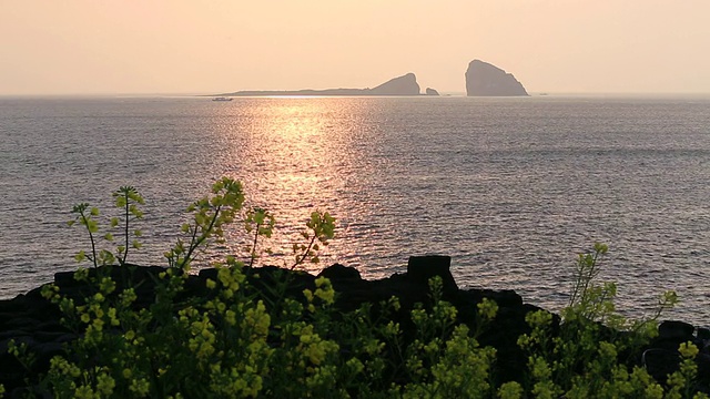 韩国济州岛Hyeongjeseom岛海岸的日出和油菜花视频素材