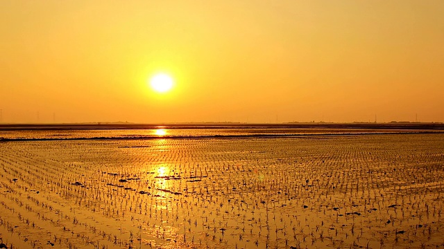 WS T/L View of Sunset of Rural Scene / Damnyanggun，全罗南道，韩国视频素材