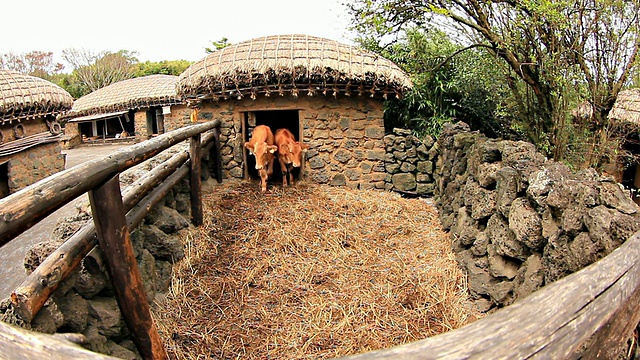 Jeju Folk Village Museum / Jeju-do，韩国视频素材