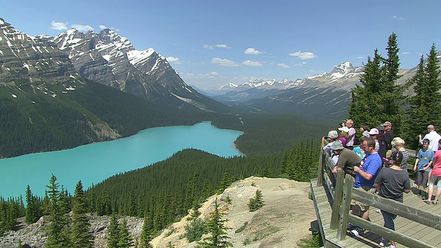 游客在Peyto湖/ Banff国家公园享受和拍照，阿尔伯塔，加拿大视频素材