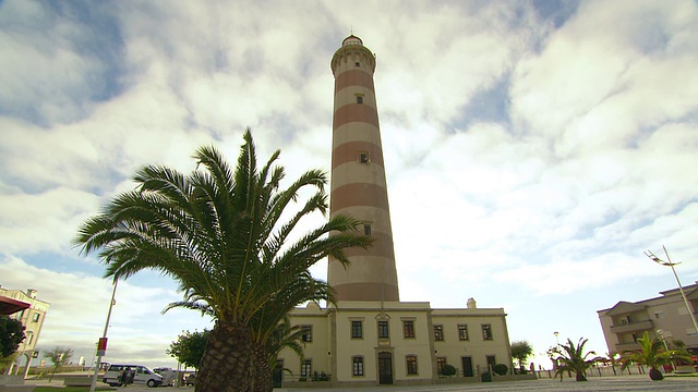 MS View of Lighthouse Hotel and square with palm tree / Aveiro，葡萄牙视频素材