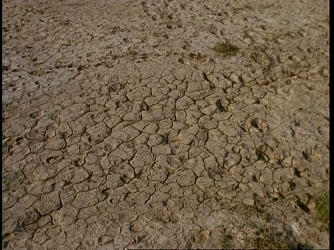 印度古吉拉特邦，高角度干燥开裂的土地视频素材