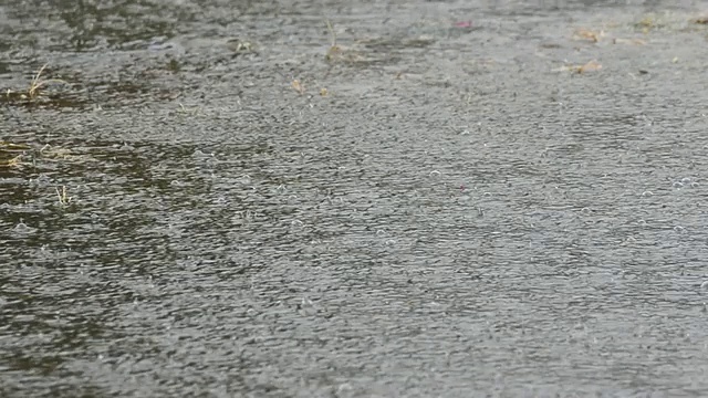 雨滴视频素材