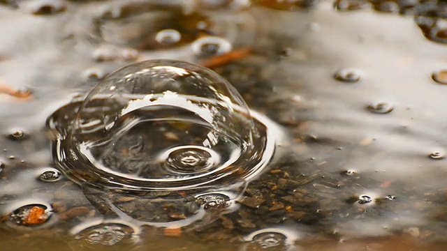 雨滴视频素材