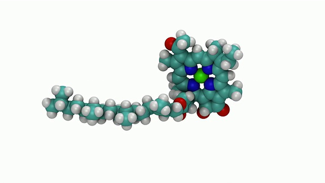 显示空间填充的叶绿素三维分子模型的CGI视频素材