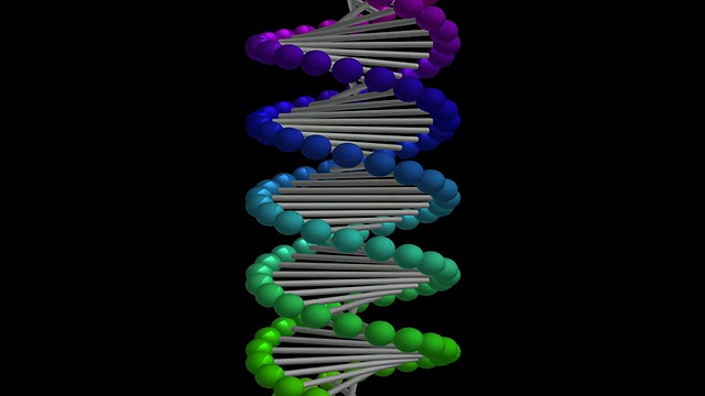 CGI显示空间填充的DNA三维分子模型视频素材