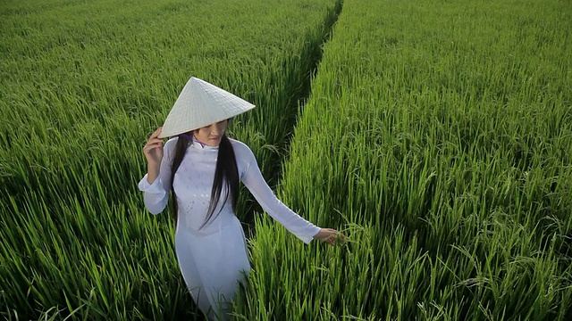 越南，WS HA LD一名身穿澳黛的年轻女子站在稻田里视频素材