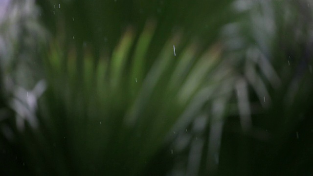 下落的雨滴视频素材