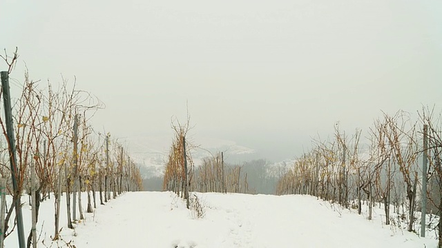 高清稳定摄影机慢动作:女人在雪视频素材