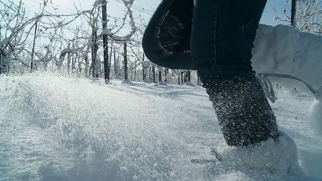 高清慢动作:在雪地里奔跑视频素材