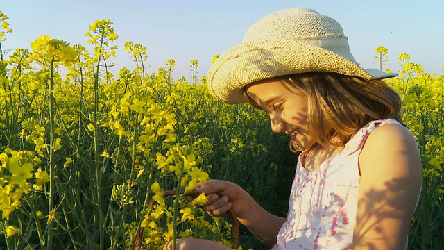 高清稳定镜头:小女孩采集油菜花视频素材