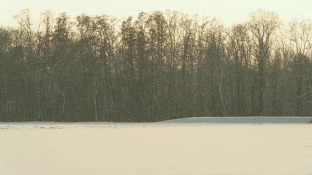 高清慢动作:闪闪发光的雪花视频素材