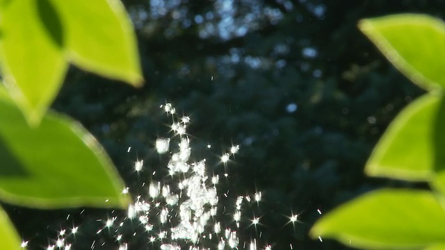 高清多莉:绿色花园的背光喷泉视频素材