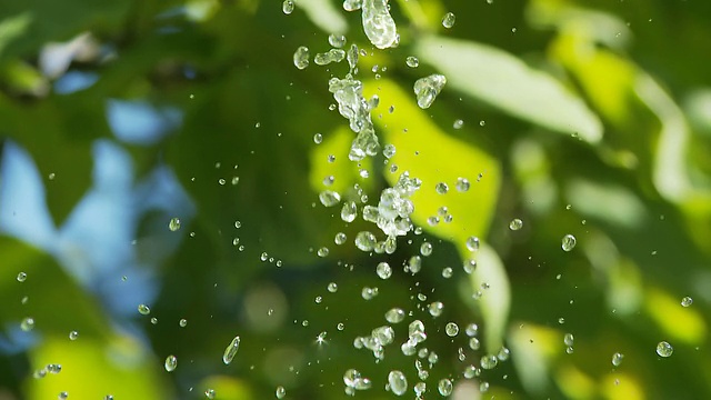 高清:水滴视频素材