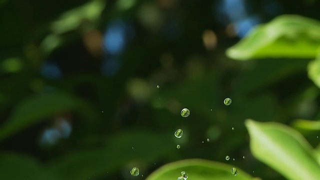 高清慢动作:水滴特写视频素材