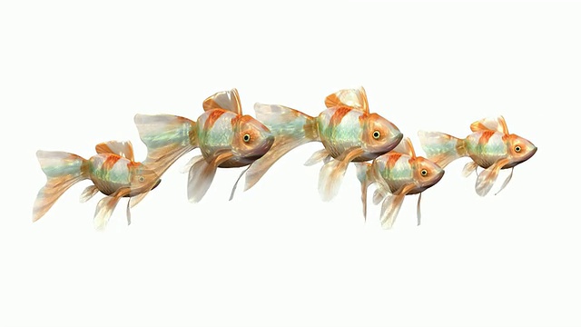 可循环的，Team of goldfish视频素材