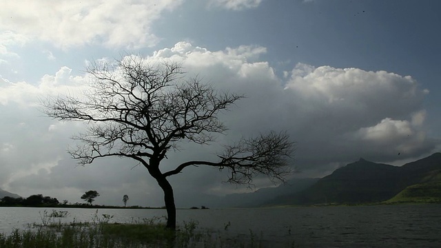 低角度的积云，Malshej Ghat，马哈拉施特拉邦，印度视频素材