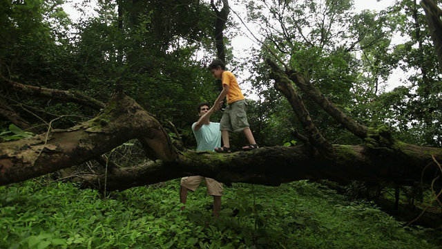 印度马哈拉施特拉邦，Malshej Ghat，一名男孩在森林中倒下的一棵树上行走视频素材