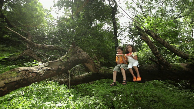 印度马哈拉施特拉邦，Malshej Ghat，男孩和女孩在森林里吃西瓜视频素材