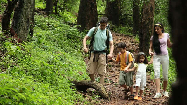 印度马哈拉施特拉邦，Malshej Ghat，一家人在森林里散步视频素材