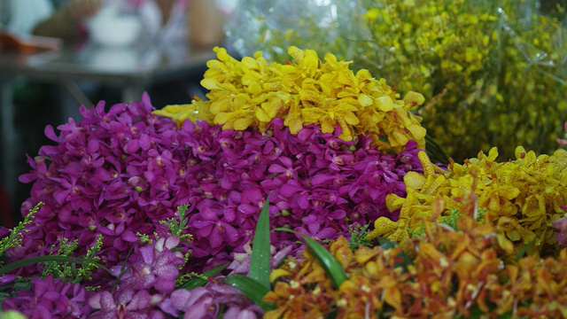 Pak Klong Talad花卉市场视频素材