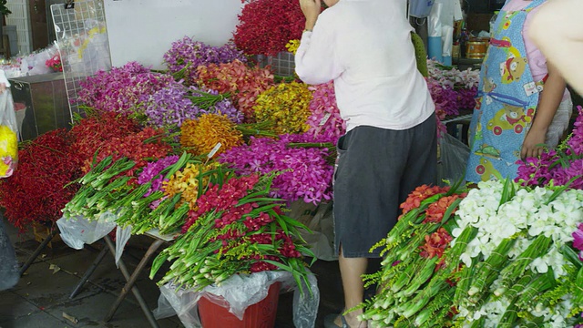 Pak Klong Talad花卉市场视频素材