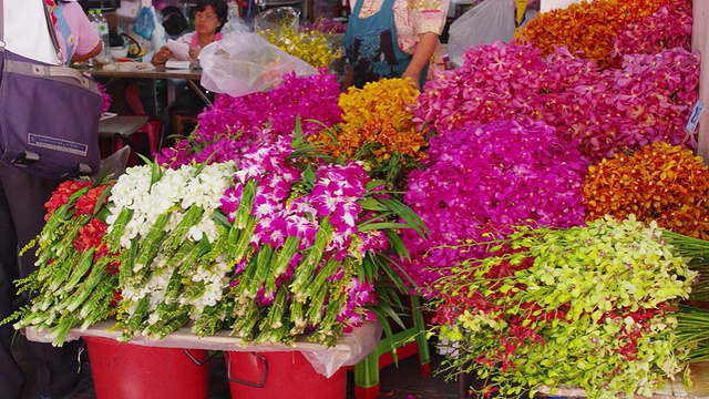 Pak Klong Talad花卉市场视频素材