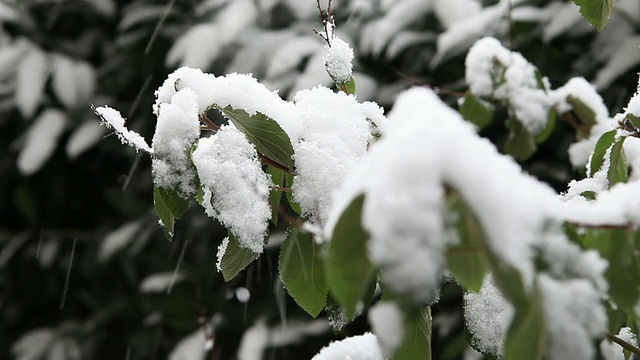 HD工厂有雪视频素材