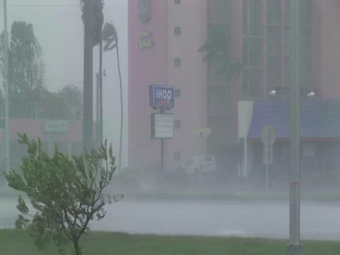 美国威尔玛飓风，标志和树木被吹在雨中视频素材