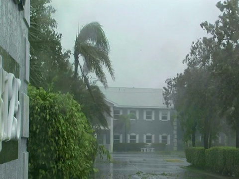 美国威尔玛飓风，标志和树木被吹在雨中视频素材