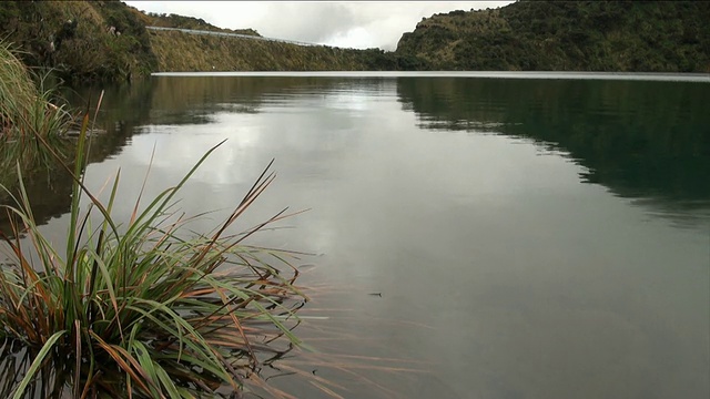 阴天的湖景。水、植被和道路。视频素材