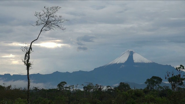 三井火山概况及特有植被。在安第斯山脉和亚马逊河的交界处。视频下载