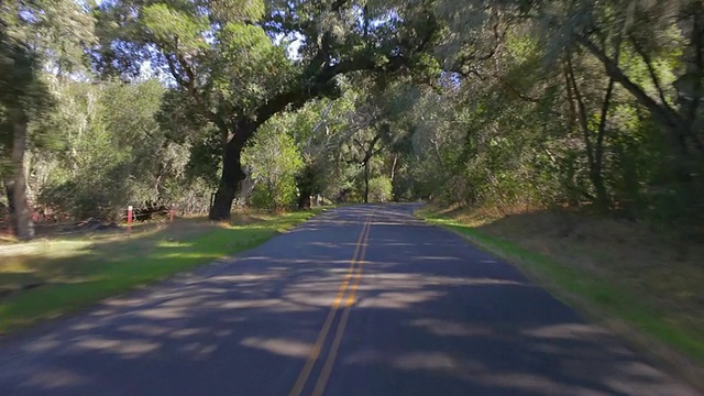 POV开车穿过森林的道路视频素材