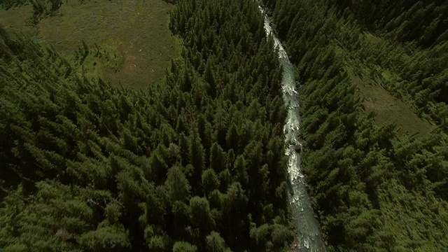 高空拍摄:阿拉斯加一条风景优美的河流被高大的常青树环绕。/阿拉斯加,美国的视频素材