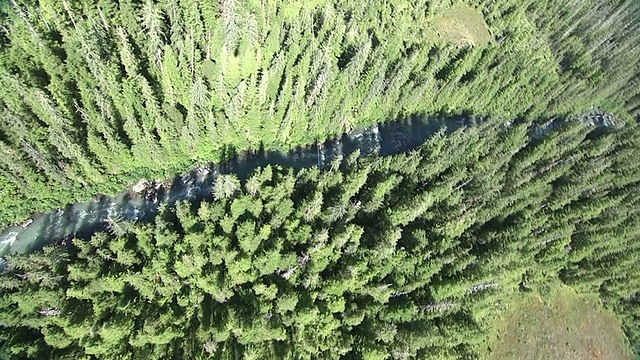 中度空中泛右——一架直升机飞过河流和森林时挂在上面的绳子。/阿拉斯加,美国的视频素材