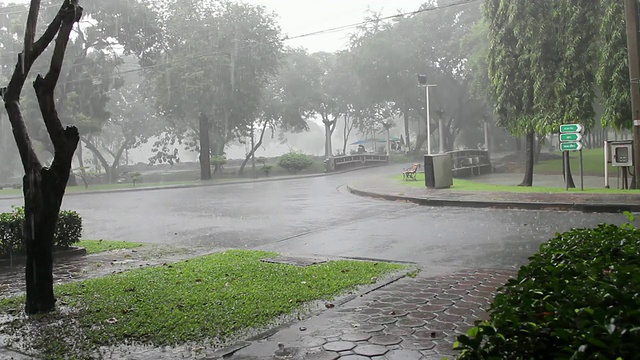 大雨。视频素材