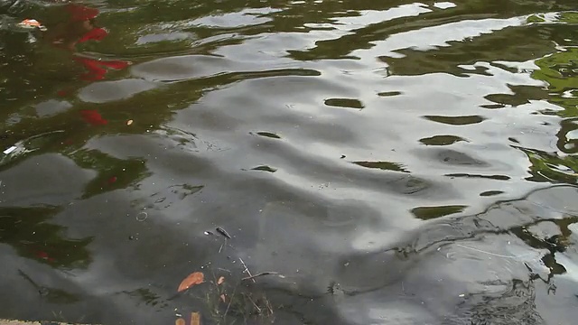 洪水淹没了道路。视频素材