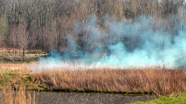 干燥的草地着火了视频素材