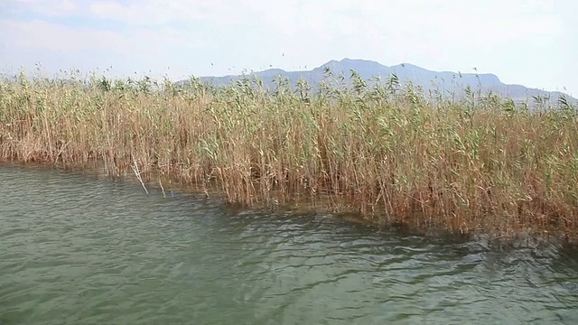 高清：里德视频素材