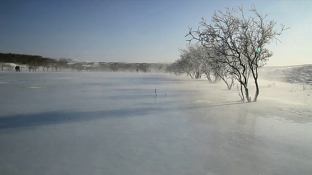 雪领域视频素材