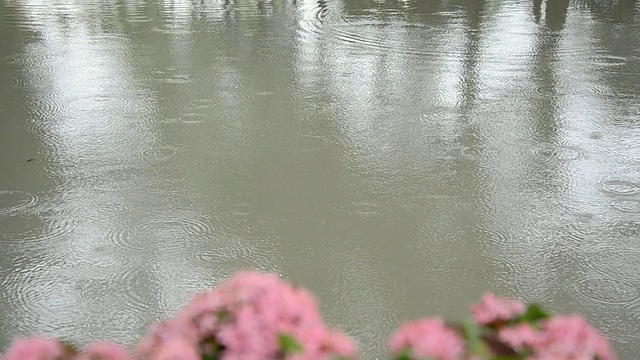 雨视频素材