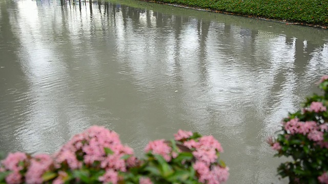 雨视频素材