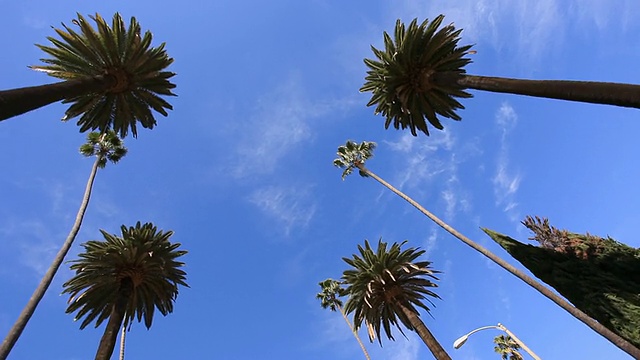 比弗利山-高清视频视频素材