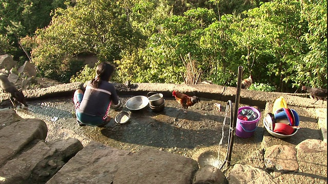 高角度静电干扰-一个女孩在一只猪和公鸡旁边刷盘子。/菲律宾视频素材