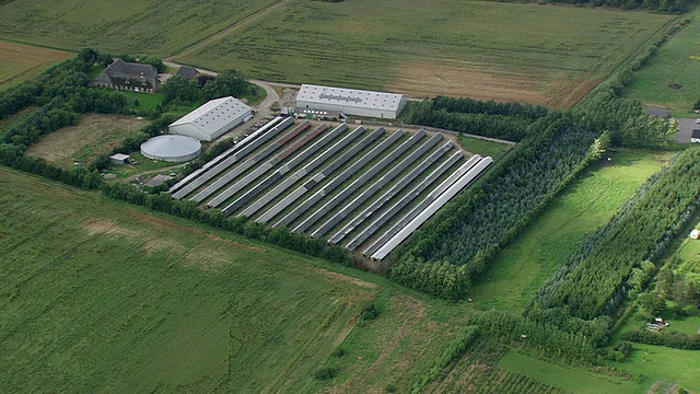 WS AERIAL ZO View of Pig of chicken intensive farming / Ringkobing，丹麦视频素材